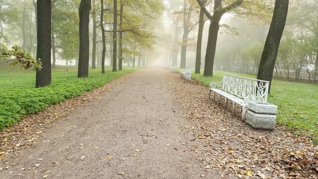 A quiet path stretches past white benches through misty autumn trees. The peaceful scene creates a serene atmosphere in Catherine Park, Pushkin, Saint Petersburg in slow motion.