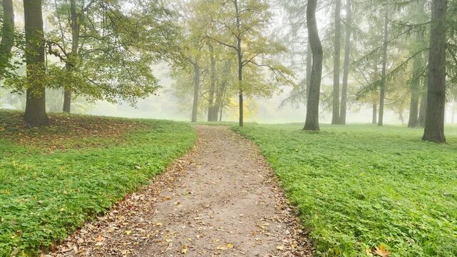 A quiet pathway winds softly into misty autumn woods. The tranquil scene offers a dreamy mood in Catherine Park, Pushkin, Saint Petersburg, slow motion.
