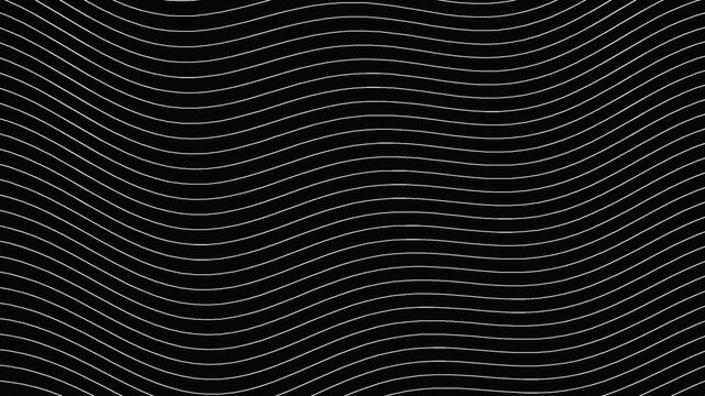 Sfondo astratto di linee fluide bianco su nero in loop continuo