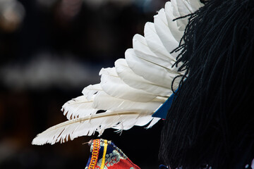 Intricate profile shot of traditional Indonesian ethnic dance costume focusing on white feather headdress plume arrangement and traditional textile pattern during a cultural performance event © dwiangga