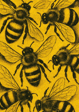 Vintage bee illustration pattern