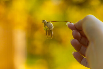 Main tenant une petite branche de chêne avec un gland mûr, sur un arrière-plan aux couleurs dorées de l’automne. © InestDjo