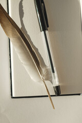 A serene workspace with a feather and pen resting on a notebook © Nazar 