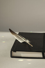 A poetic moment captured with a feather resting on a journal © Nazar 