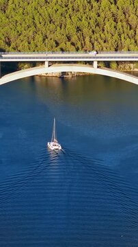 Croatia, aerial footage of a sailboat moving on blue river water under a modern concrete bridge surrounded by green pine trees