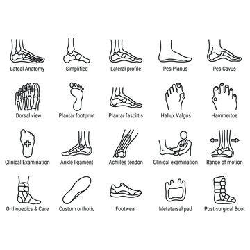 Podiatry and foot care medical icons set with orthopedic symbols.