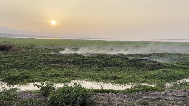Landscape of Grassy Field With Smoke at Sunset