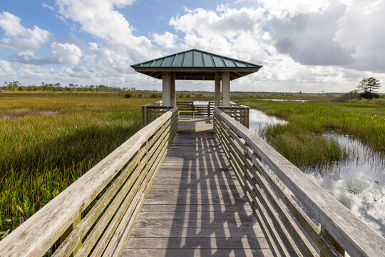 A boardwalk leads to an open overlook view at a marsh wetland park in Florida, USA