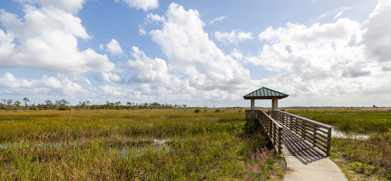 A boardwalk leads to an open overlook view at a marsh wetland park in Florida, USA