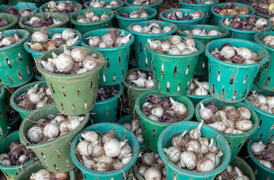 Buckets and baskets full of onions