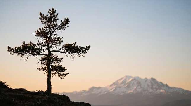 A solitary pine tree standing on a mountain ridge during a peaceful golden hour sunset.
