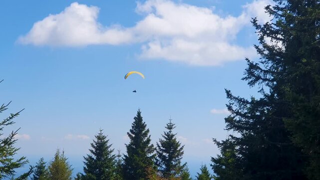 Paraglider Soaring Above Pine Forest Under Blue Sky and White Clouds Over Mountains