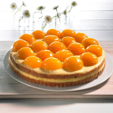 Apricot tart topped with vanilla cream on a white plate