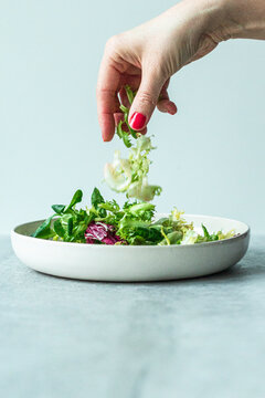 Hand adding leafy greens to mixed salad on white plate