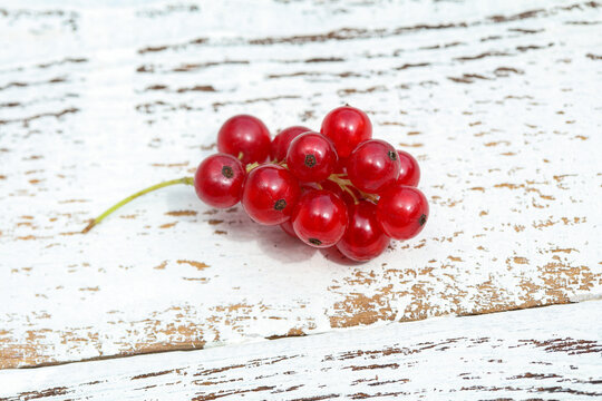 Red currants cluster on rustic white wooden background