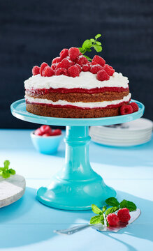 Vegan Naked Cake with raspberries, coconut flakes