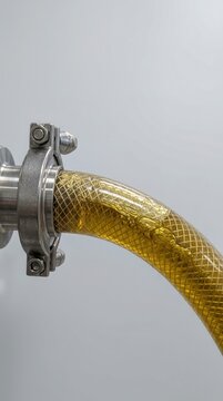 Golden Olive Oil Flowing through Flexible Reinforced Transfer Hose