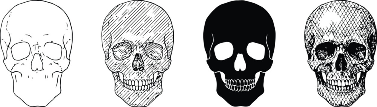 Skull icon vector set featuring anatomical human head skeletons