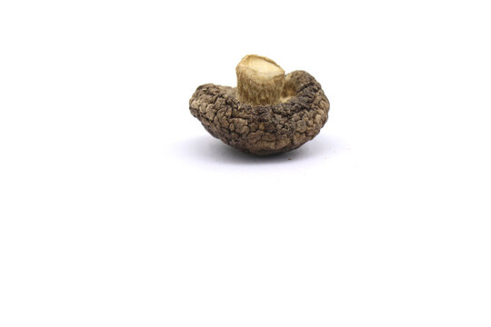 Dried shiitake mushrooms on a white background.
