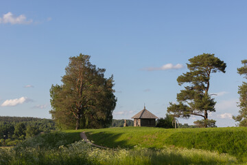 Naklejka premium A tranquil Russian countryside scene featuring a small historic wooden chapel on a grassy hill, surrounded by tall pine trees, wildflower meadows and a winding dirt path under a clear blue sky