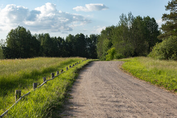 Naklejka premium An empty country road winds through grassy fields and trees beneath a bright blue summer sky with scattered clouds on a sunny day
