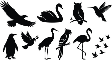 Fototapeta premium Collection of various bird silhouettes including eagle, swan, owl, hummingbird, penguin, dove, crane, parrot and flamingo