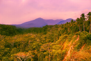 "Stunning lush tropical valley landscape at sunset with mountain range, pink sky, palm trees, and golden jungle foliage. Perfect for travel and nature themes." © Ikhy