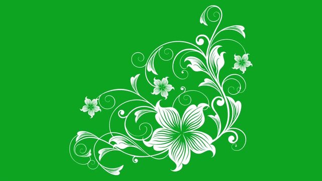 White animated growing floral ornament blooming with swirling vines and flowers on a bright green chroma key background