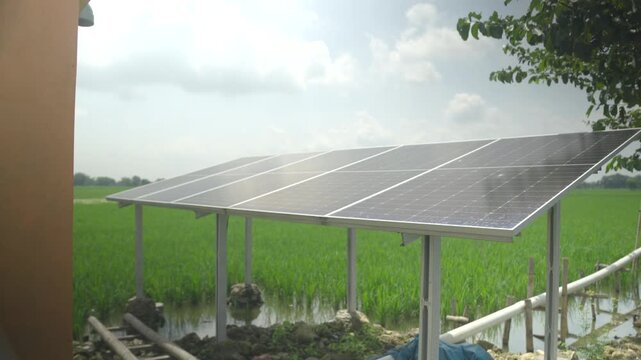Steady shot moving closer to a solar panel array on a metal frame above a flooded green rice paddy with a white water pipe and a tree in the foreground, solar powered agriculture 