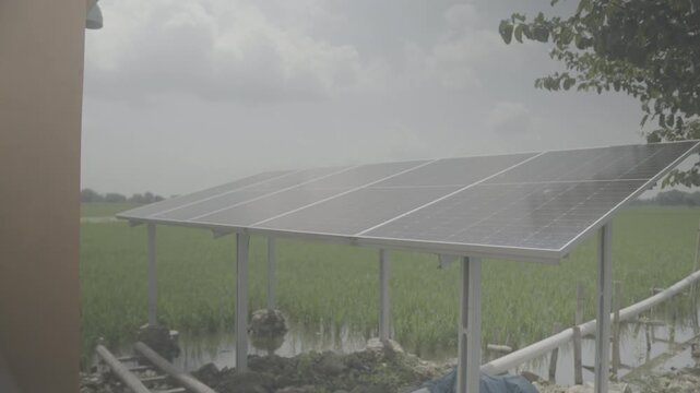 Ungraded log footage of a steady shot moving closer to a solar panel array on a metal frame above a flooded green rice paddy with a white water pipe and a tree in the foreground, flat color 