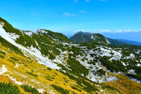 Hiking trail across mountain landscape with alpine meadows and mugo pine bushes in Julian alps, Gorenjska, Slovenia