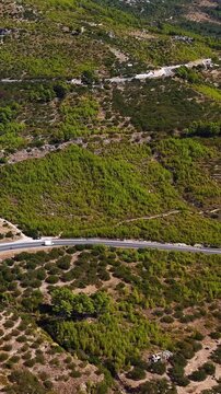 Croatia, aerial view of winding road through green hills and forests
