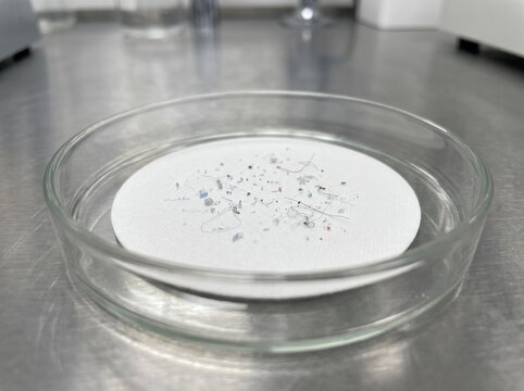 Microplastic particles collected on a filter paper in a petri dish