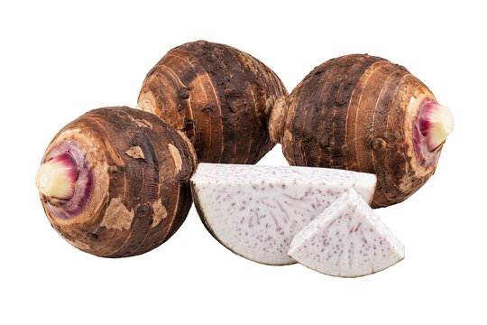 Three fresh taro roots isolated PNG, whole and cut taro on transparent background, raw starchy vegetable for cooking