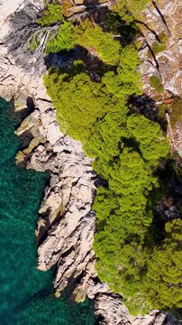 Croatia, aerial top down view of rocky coastline, clear turquoise sea, and pine trees, summer footage