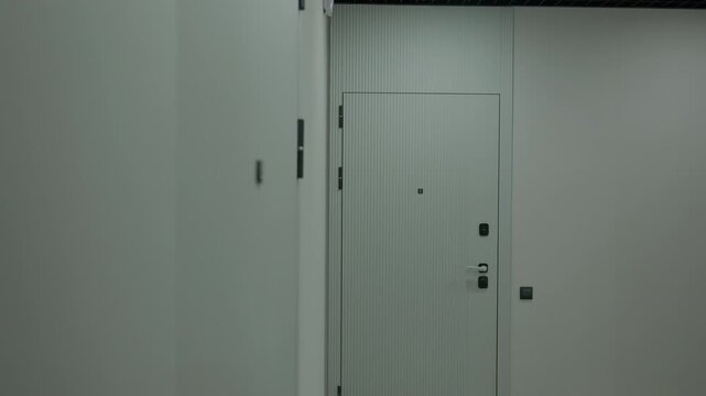 Apartment entrance door in modern residential building corridor