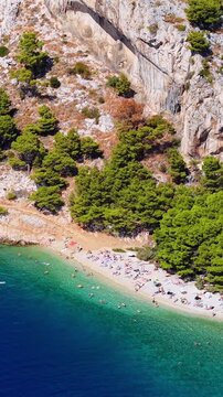 Croatia, aerial view of people relaxing on a sunny beach with clear turquoise water and pine trees