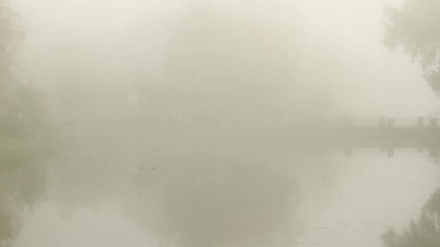 Thick fog rests over a still pond as silent ducks swim across the mirror water. The mysterious view creates a tranquil mood in Catherine Park, Pushkin, Saint Petersburg, slow motion.