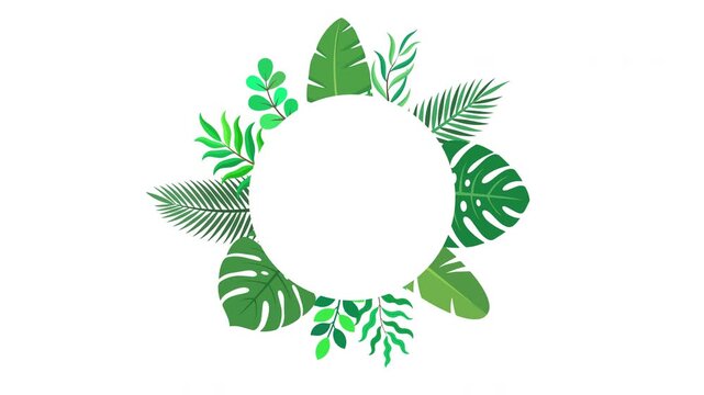 Round Tropical Leaf Wreath Frame with Lush Botanical Foliage Surrounding a Clean White Center Prores Alpha 4K 60 fps Looping