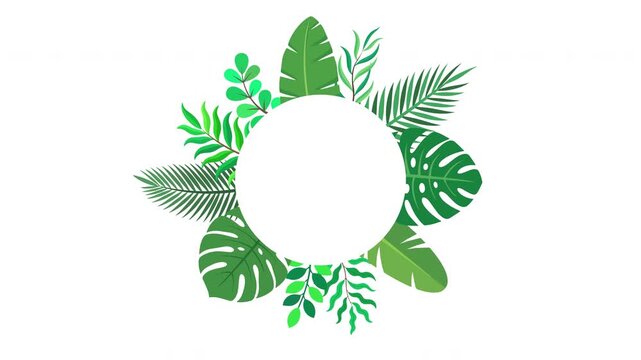 Elegant Circular Jungle Foliage Border with Layered Tropical Leaves and Botanical Ornamentation Around a White Center Prores Alpha 4K 60 fps Looping