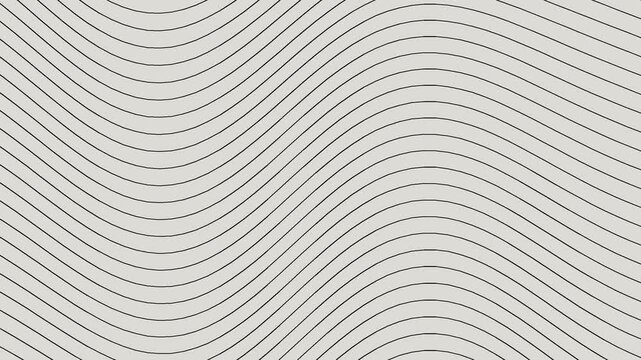Sfondo astratto di linee fluide bianco e nero in loop continuo