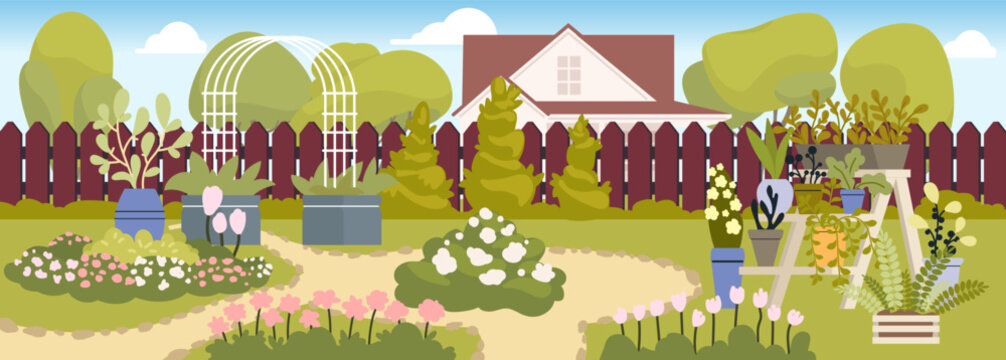 Backyard scenery. Outdoor garden with flowers, green bushes, trees and potted plants, landscaped paths beside wooden fence, home spring growth blossoms. Vector cartoon flat background illustration