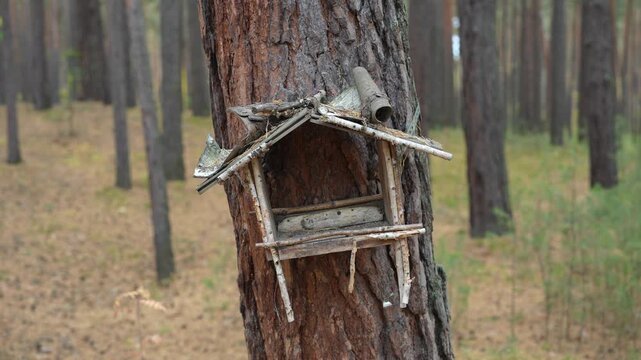 Handcrafted wooden birdhouse mounted on pine tree in forest