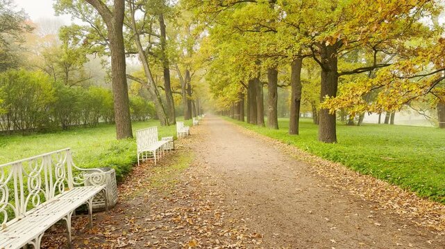 POV walkthrough of an empty autumn alley in Catherine Park, Pushkin, Saint Petersburg. White benches line the leaf-covered path under golden trees, evoking a tranquil, cozy mood.