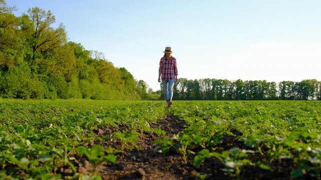 Farmer in the field. Selective focus.