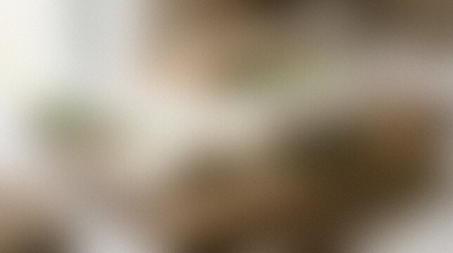 Blurred beige and brown tones create an indistinct soft focus abstract background texture blur colorfield defocused gradient hazy monochrome muted neutral off focus