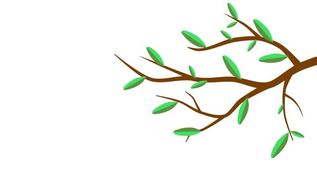Growing tree branch with green leaves vector motion footage clip