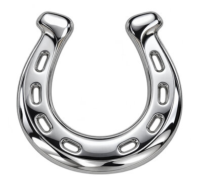 Polished chrome silver western horseshoe motif