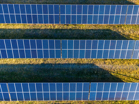 Solar panels align in rows on a grassy field under clear sky during daylight hours