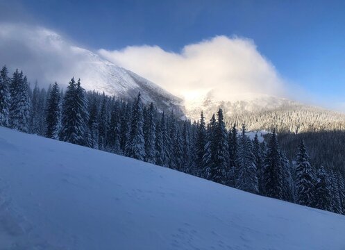 Majestic snow covered Hoverla mountain peak in winter, Carpathian Mountains, Ukraine